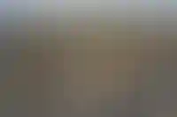 Полпред президента в ДФО выразил надежду, что ставку по дальневосточной ипотеке не поднимут_186