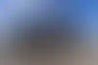 Девелопер DOGMA планирует разводить рыбу_216