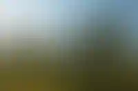 Уход «рискованных» схем в ипотеке не повлияет на спрос — Набиуллина_2766