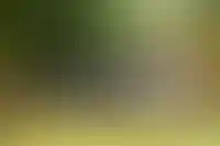 Площадь домов на рынке ИЖС начала уменьшаться из-за инфляции_315