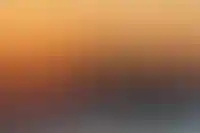 Краснодарский застройщик продаст участок в 10 минутах от Петроградки в Петербург