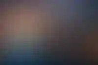 В Кремле заявили, что обсуждают с ОАЭ работу банков с россиянами
_101