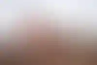 ЦБ поддержал создание реестра подрядчиков в сфере ИЖС_3450