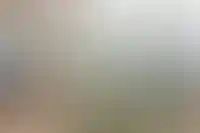 Рынок ипотеки впервые перешел к росту по числу выдач в годовом выражении_4933