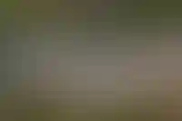 Дома площадью 122 «квадрата» чаще всего строят и покупают в рамках ИЖС_4806