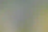 За год цены на загородное жилье упали только в Москве и Краснодарском крае_2360