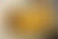 Каждая третья строительная компания испытывает нехватку квалифицированных рабочих_1301