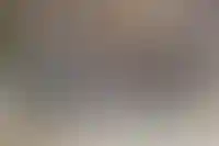 Решение по модернизации программы «Семейная ипотека» примут до 1 июля — Хуснуллин_6296