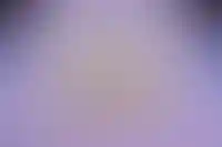 Власти Москвы получат право наказывать нарушителей земельного законодательства_3464