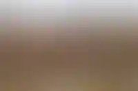 Правительство одобрило упрощенный перевод земель сельхозназначения под туризм_5868