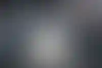 Проект поправок к закону об обратном выкупе активов иностранцами подготовили в РФ_3873