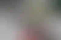 Крупнейшие банки РФ попали в топ-8 по числу жалоб заемщиков на кредитование_3107