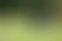 Оформить жилье в ипотеку с маткапиталом теперь можно без согласия банка_3814