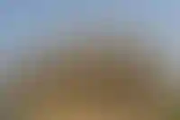 В ВТБ спрогнозировали, что ипотек в ИЖС выдадут на 1 трлн рублей в 2024 году_280