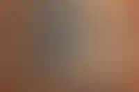 Меньше половины: конкуренция в стройотрасли выросла лишь в 12 из 27 регионов_4786