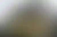 Позиция продажника в девелопменте привлекает зумеров в 16 раз больше, чем стройка_5175