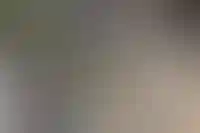 Московский фонд реновации объявил торги на строительство 1,6 млн кв.м. жилья_5126