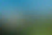 Эксперты оценили спрос россиян на ИЖС в 2,4 млрд кв. метров
_126