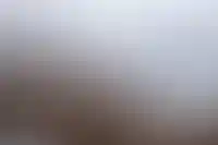 Краснодарская ГК ТОЧНО впервые выйдет в Татарстан_2434