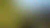 Власти готовят меры по упрощению получения участков под ИЖС_6662