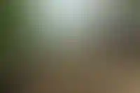 Число новостроек в продаже на стадии котлована с начала года сократилось на 9% в Подмосковье_1289