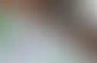 После повышения ключевой ставки ЦБ средний процент по ипотеке вырос до 21,3%_1255