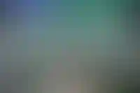 Сбер поднял минимальную ставку по рыночной ипотеке до 19,5% годовых_580