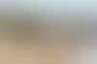 Вместо Анапы — Азовское море и Крым: куда уходит туристический поток_3438