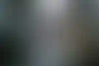 Выдачи IT‑ипотеки упали в три раза по итогам 2025 года_5488