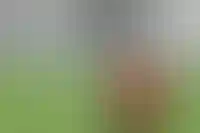 Новый закон о маткапитале: кто имеет право и как применить средства для ИЖС_712