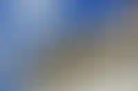 MR Group выходит на рынок загородного жилья с проектом на 200 га в Подмосковье_2644