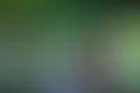 «Вкусвилл» закрыл почти 300 магазинов в 2025 году и сократил сеть на 13%_6108