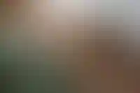 Аренда студий в апартаментах на 42% дороже квартир_1258