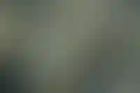 Средний первоначальный взнос по ипотеке вырос до 37% с начала года_851