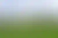 Группа «Эталон» выходит в Ленинградскую область_1050