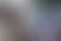 Врио гендиректора Роскадастра назначен Константин Литвинцев_5039