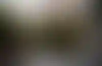 Росконгресс Урбан Хаб: «У застройщиков много проблем с московскими КРТ, но спрос на них продолжает расти»_395