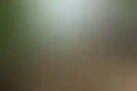 Dogma может выкупить у MR Group права на реорганизацию промзоны в Москве на 2 млн кв. м_856