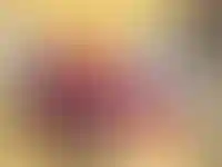 ЗПИФы недвижимости зачастую используют для ухода от налогов — ФНС_8576