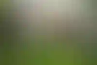 В августе 2024 года выдача ипотеки на ИЖС сократилась на 73%_1254