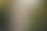 Сбер начал прием заявок по программе «Семейная ипотека» на вторичное жилье_2764