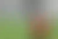 Одна ипотека на семью: как работает программа после ужесточения_5816