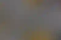 Выручка девелоперов России за 2025 год достигла абсолютного рекорда 5,57 трлн рублей_5416