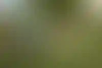 Заснеженные дворы и мусор на улицах: чем грозит режим тишины для дворников_710