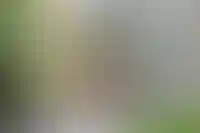 Только 10% граждан России страхуют жилье от стихийных бедствий_4078