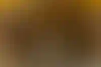 Строительство складов в Москве выросло на 38% за 9 месяцев_4912