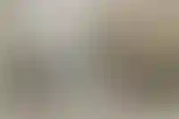 Мнение: апартаменты следует наделить статусом жилых помещений_965