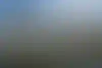 Продажи элитной недвижимости в Москве выросли на 25%_4327