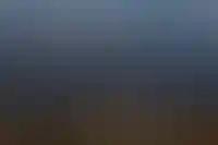 За 2023 год продажи жилья в Сочи выросли на 60,9%_190