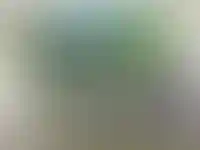 «Россельхозбанк» отменил требование о выборе рекомендованного подрядчика для ипотеки_5847